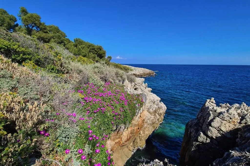 Casalionelantibes 70 Sqm Apartment With Garden And Parking 0*, Antibes France