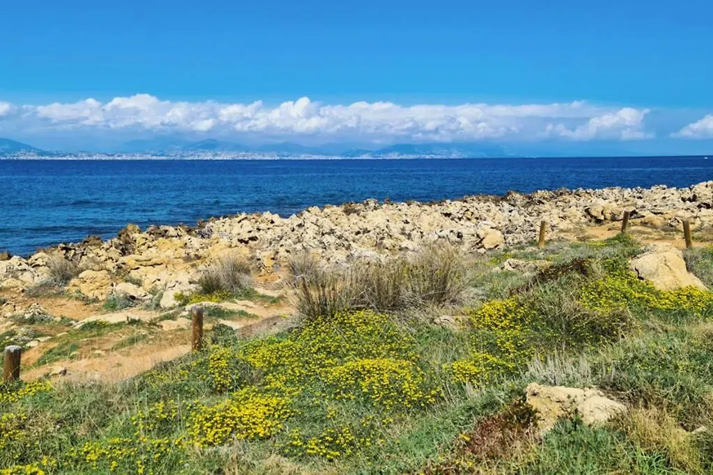 Casalionelantibes 70 Sqm Apartment With Garden And Parking